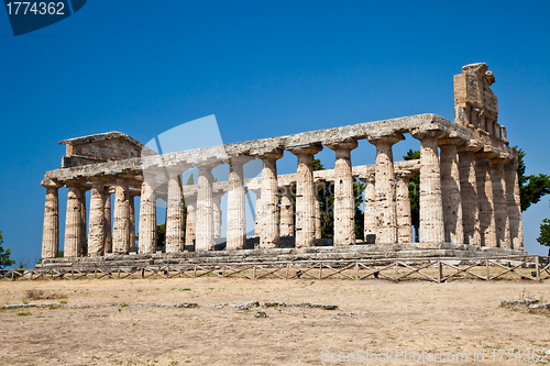 Image of Paestum temple - Italy