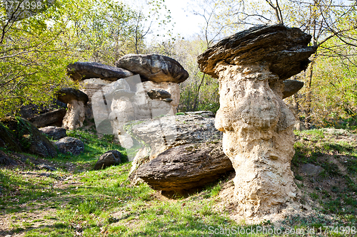 Image of Imaginative forest landscape