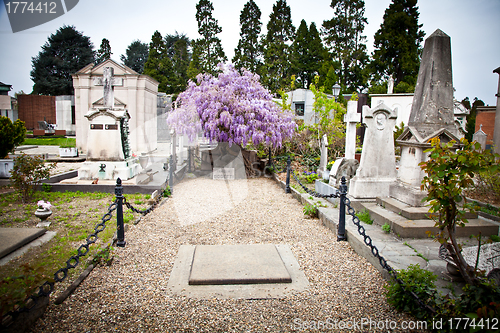 Image of Cemetery architecture - Europe
