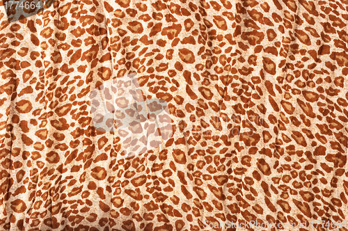 Image of Abstract Leopard texture