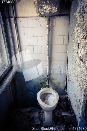 Image of A very comfortable toilet in Chernobyl Area