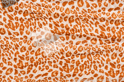 Image of Abstract Leopard texture closeup