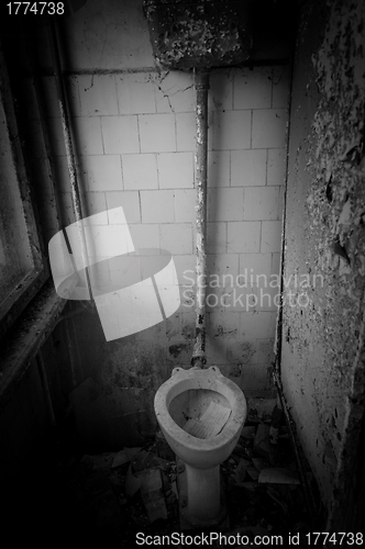 Image of A very comfortable toilet in Chernobyl Area