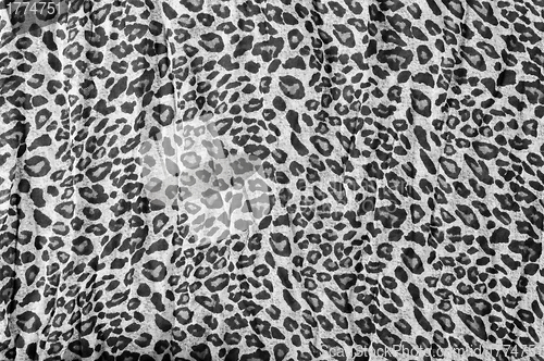 Image of Abstract Leopard texture