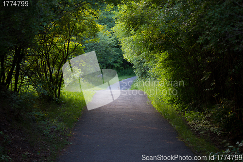 Image of Nature trail
