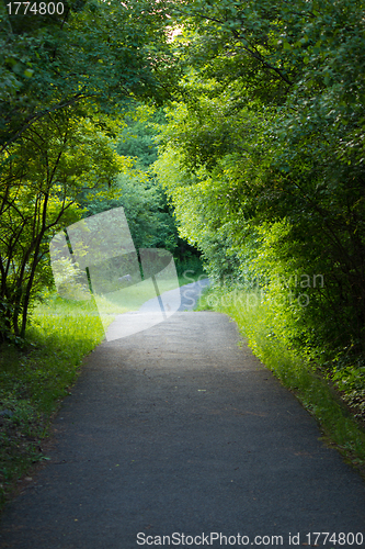 Image of Nature trail