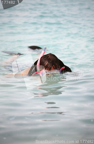 Image of Snorkelling