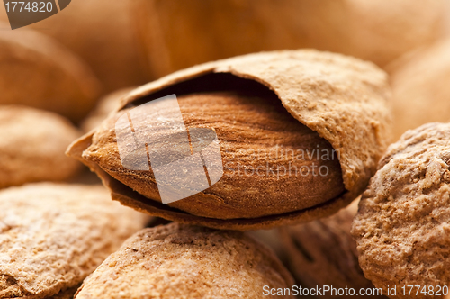 Image of Sweet almonds with kernel 