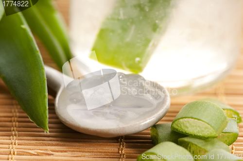 Image of aloe vera juice with fresh leaves