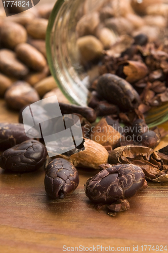 Image of Cocoa (cacao) beans on natural wooden table