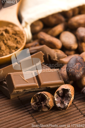 Image of Cocoa (cacao) beans with chocolate