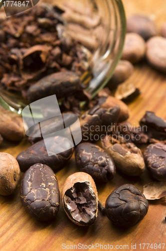 Image of Cocoa (cacao) beans on natural wooden table