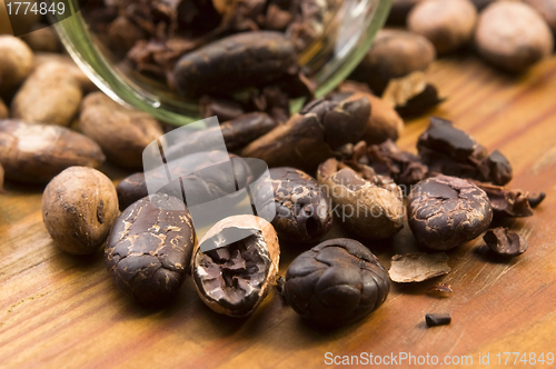 Image of Cocoa (cacao) beans on natural wooden table