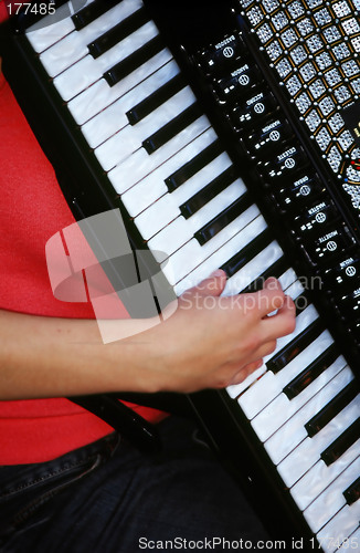 Image of Accordion Player