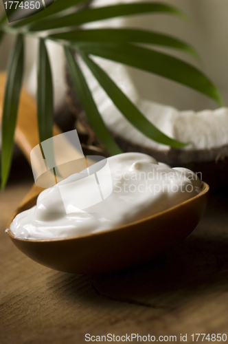 Image of Coconut and coconut oil 