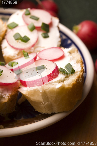 Image of Sandwich with cheese, radish and chive - Healthy Eating 