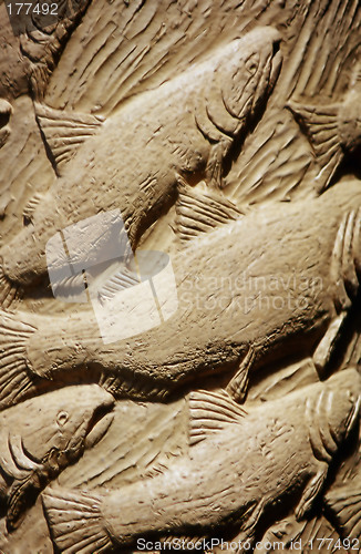 Image of Fish