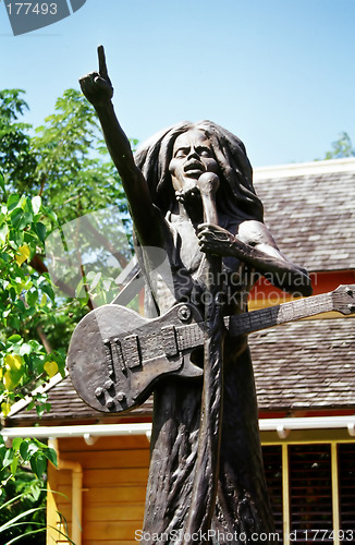 Image of Reggae Musician