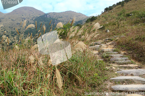 Image of Stone path in the mountains