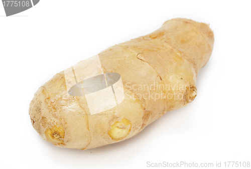 Image of ginger isolated on white background 