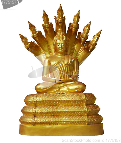 Image of Buddha statue