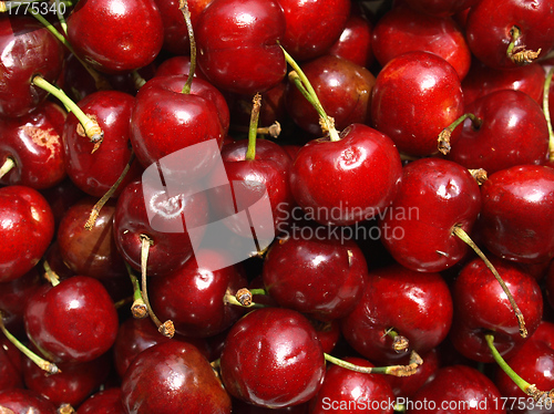 Image of Cherry