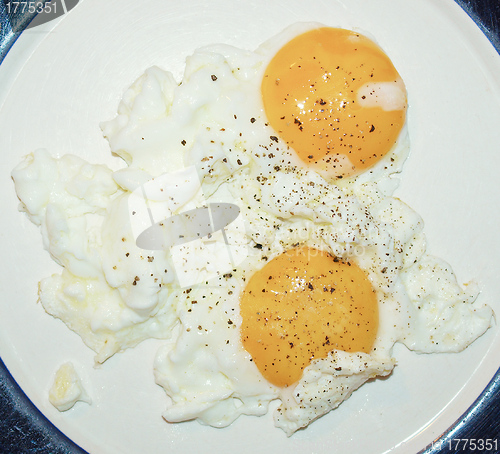 Image of Fried egg