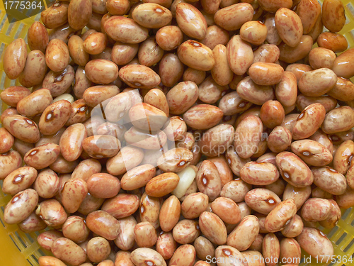 Image of Beans salad