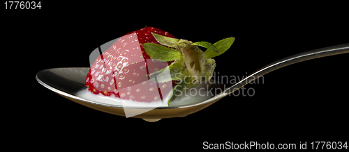 Image of red, ripe strawberry falling in spoon with milk