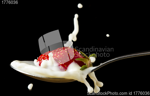 Image of red, ripe strawberry falling in spoon with milk