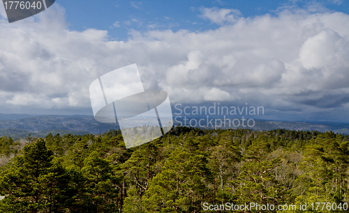 Image of view over forest with cloudy sky