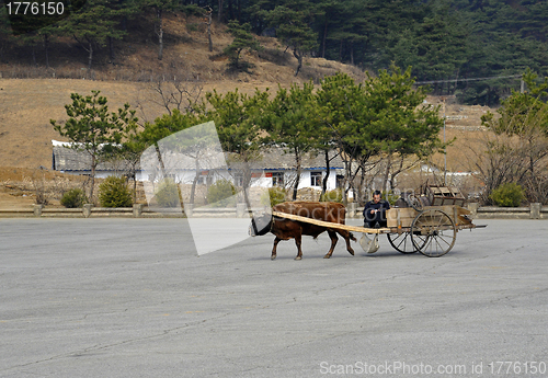 Image of Northkorea