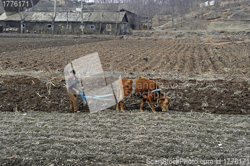 Image of Northkorea