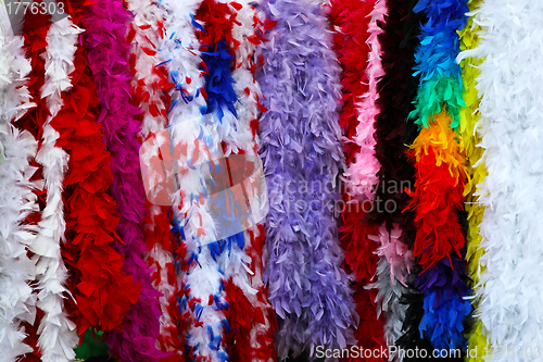 Image of Color feathers