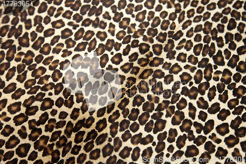 Image of Leopard hyde