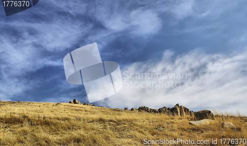 Image of Summer landscape