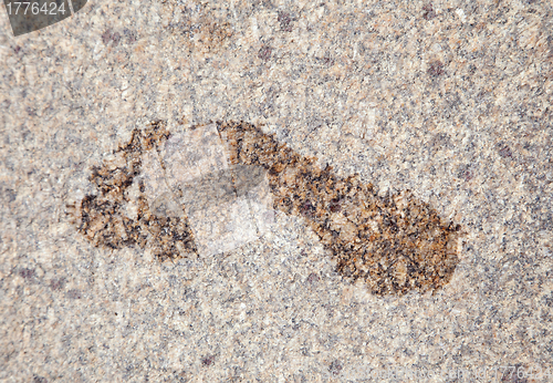 Image of Wet footprint on granite