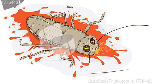 Image of Squashed cockroach