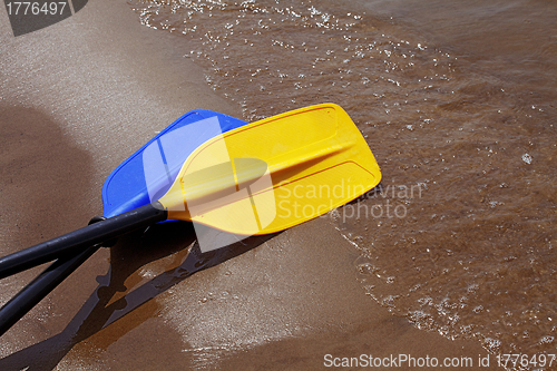 Image of Kayak paddles