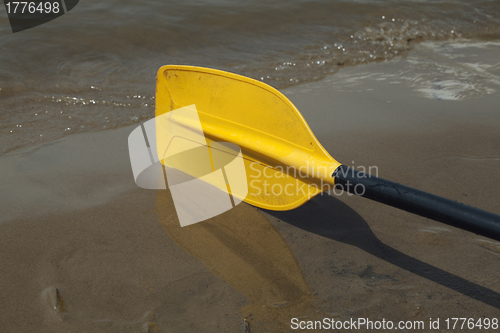 Image of Kayak paddle