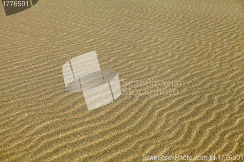 Image of Rippled sand