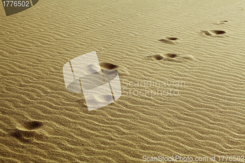 Image of Footprints in the sand