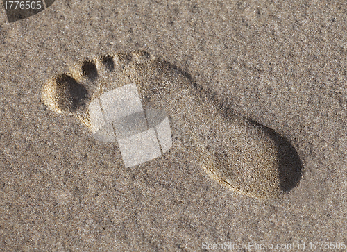 Image of Footprint in the wet sand
