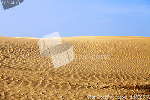 Image of Desert dune