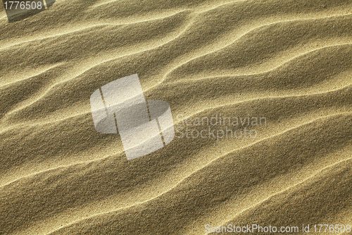 Image of Rippled sand