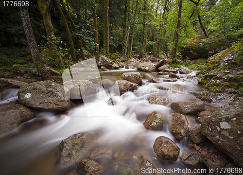 Image of River in Corsica