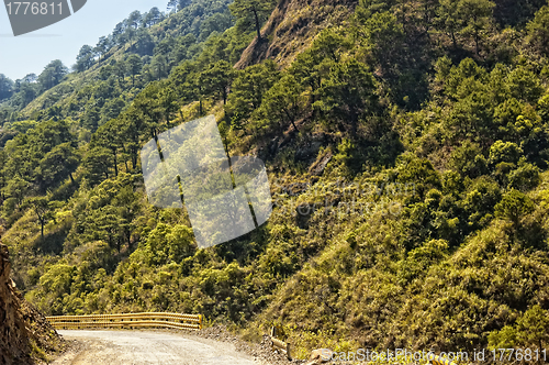 Image of Winding Road