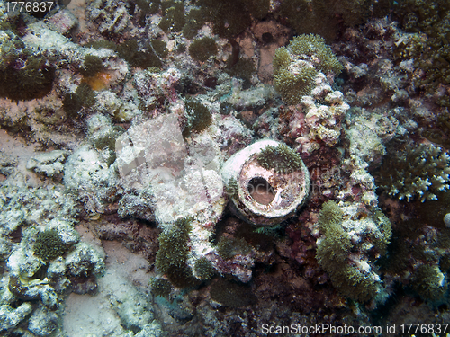 Image of Underwater pollution