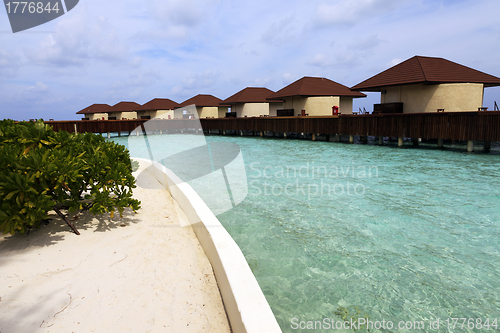 Image of Water bungalows