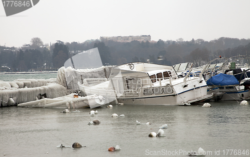 Image of Shipping frozen